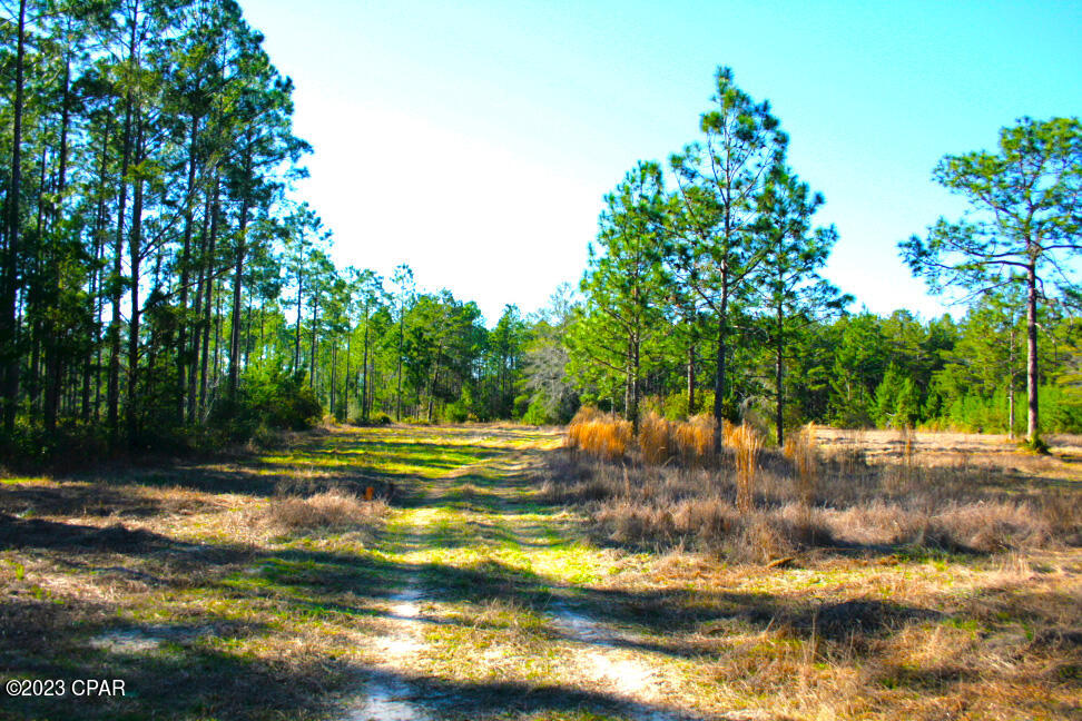 Nfnbseljoi7szc6iy1nu4bkgms Kokvezky_rtc5vyk