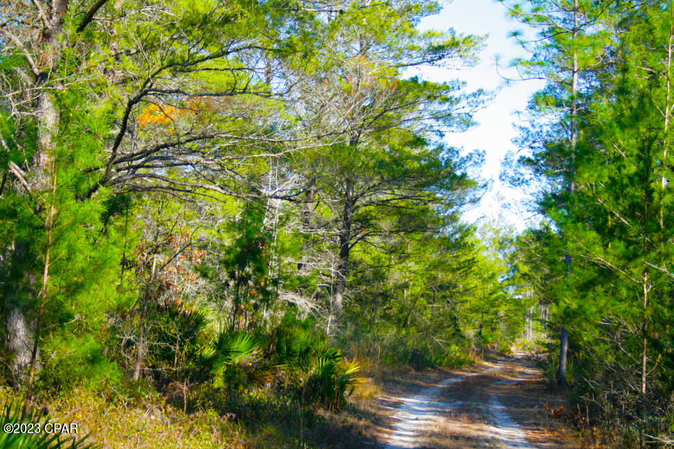 Zroenrwttxppei8s69morruuzqevt1cokiwcna2cofe