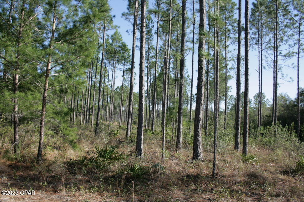 1ucg Zsqf4yczohn6md54odjg0lywkirhyqzfzbnji0