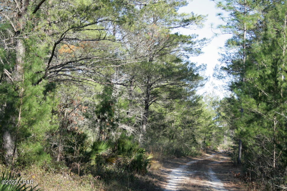 5vwq Skw1tkr9w6wcrfsljsykc93ncq0_fwctkmwqge