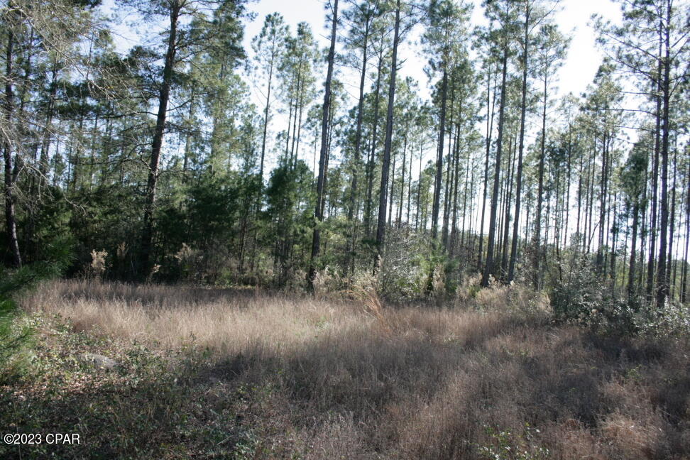 9nra0btd4iqdrall5ims3opkgxxe1tq6r 8wic123ia