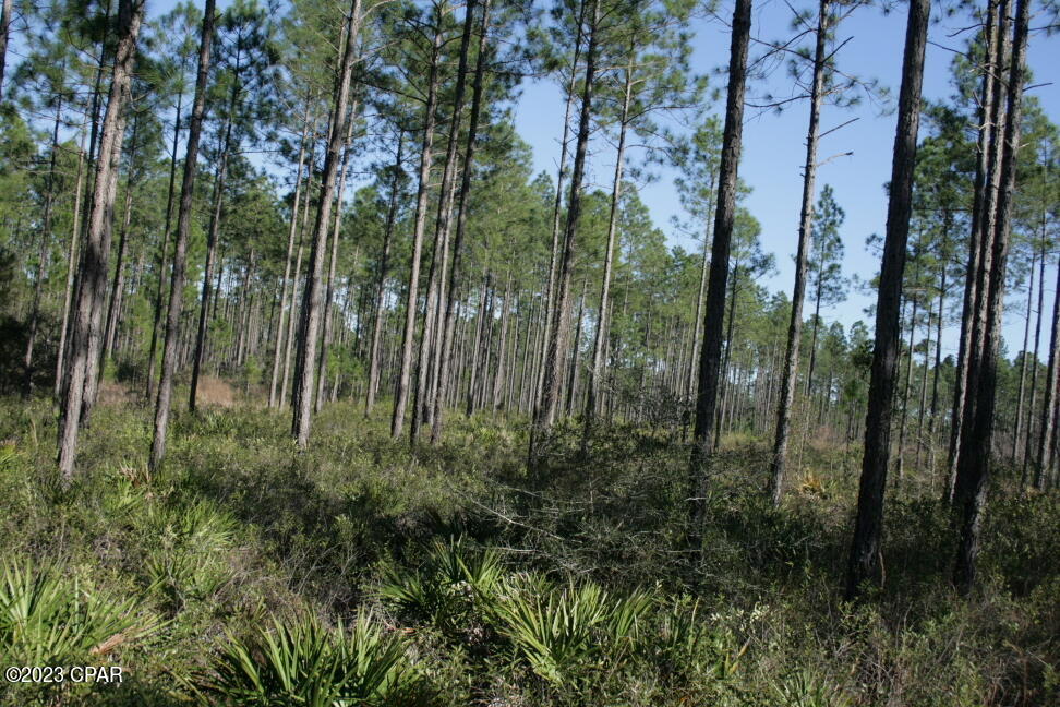 Opp4hfwpyknkuvji9z4dswxlaesodg51j3jd1 Gqrci