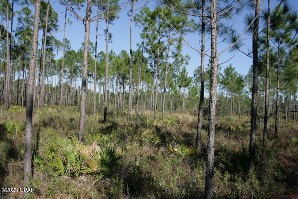 Rlnoexmtqvkdk42xqer7hivulqow89jcku Curcbmyw