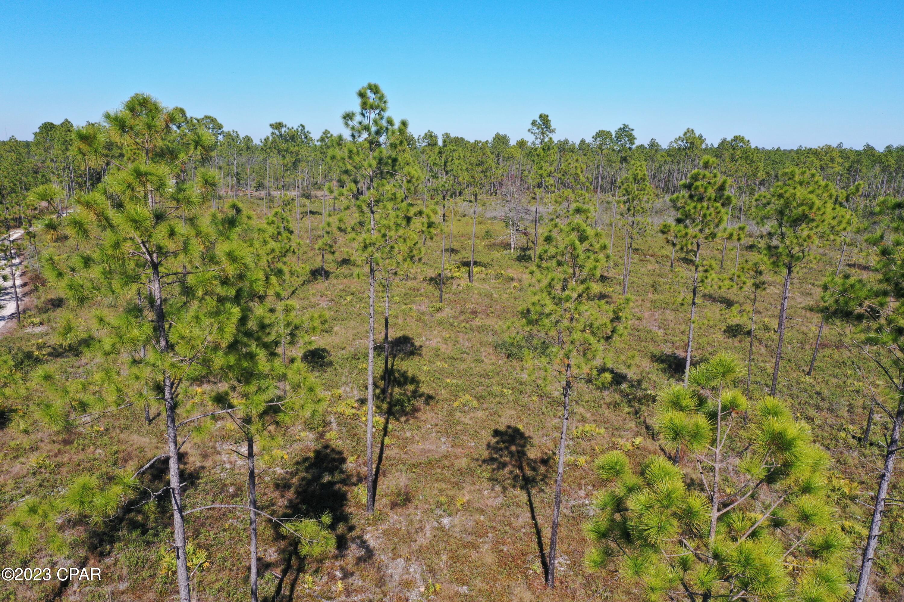 Dz0olrxjqp6 _dfoittmfkhnmpstcjv6n3lmjxsg47u