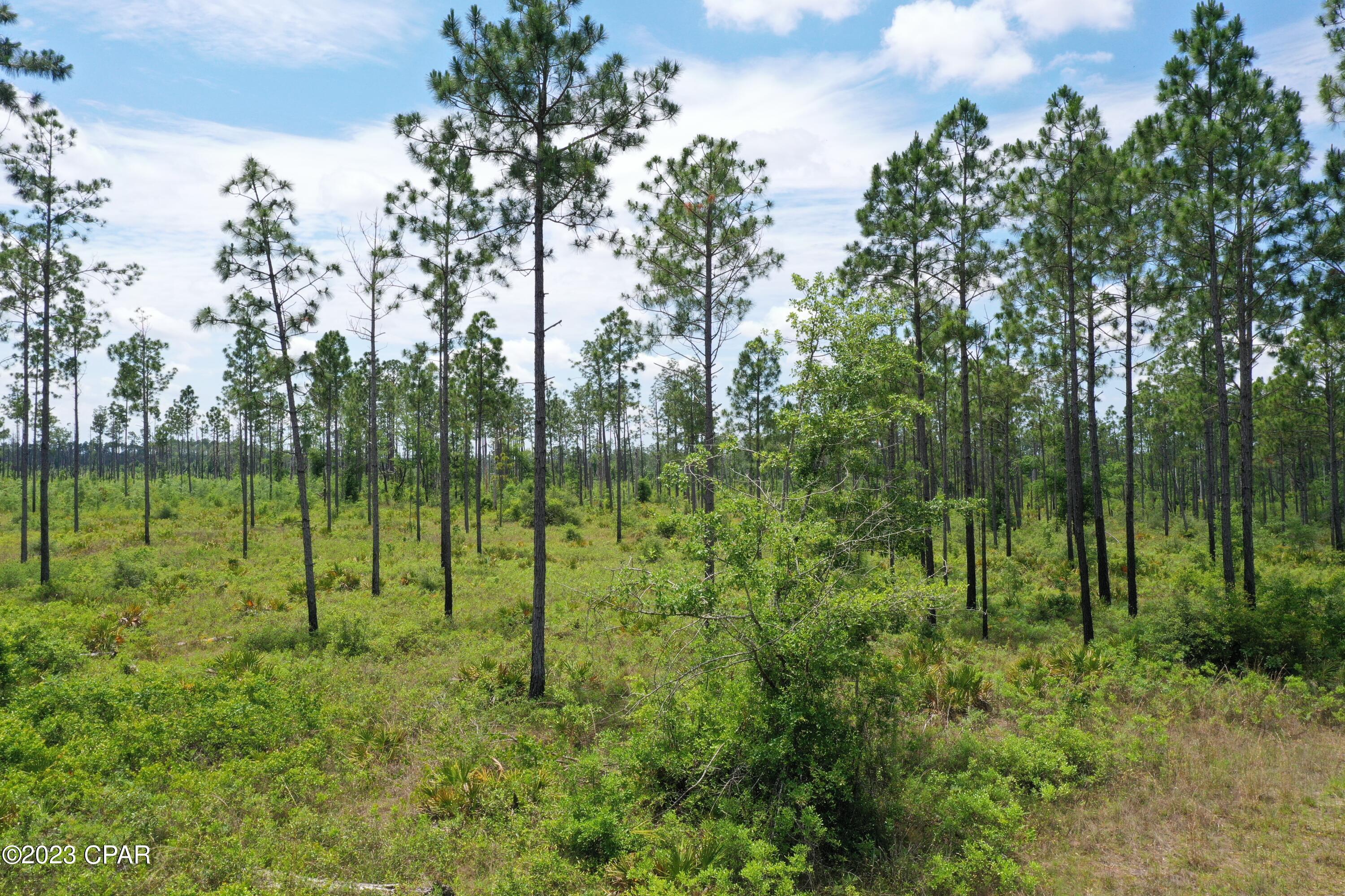 H03dhmkqznns_ra0pascajqabewqoylnuc2bgzktqw0