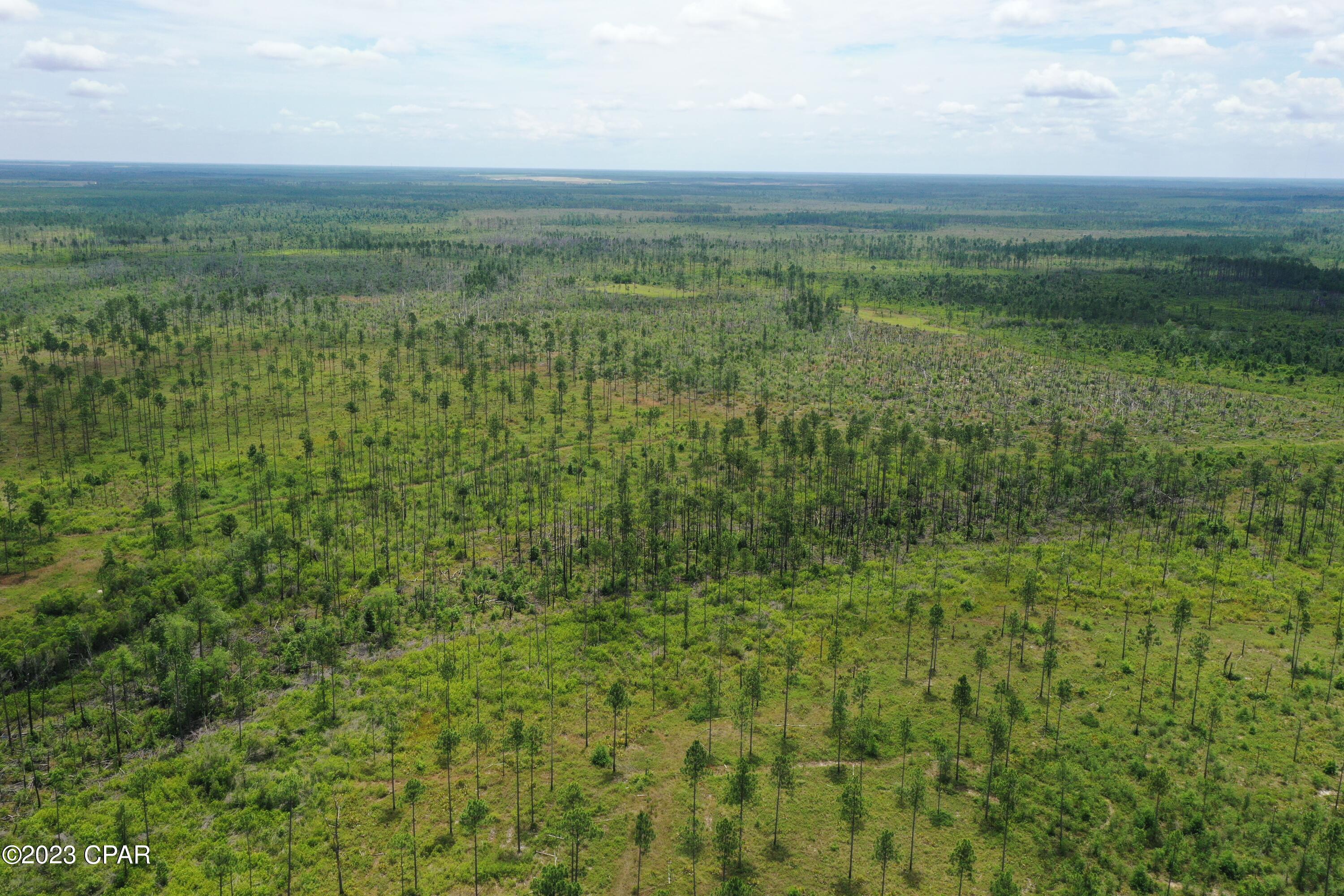 Pc1d3oiv2bb1rdrp8 Rmx96v8_gfczlfxzezb06vevi