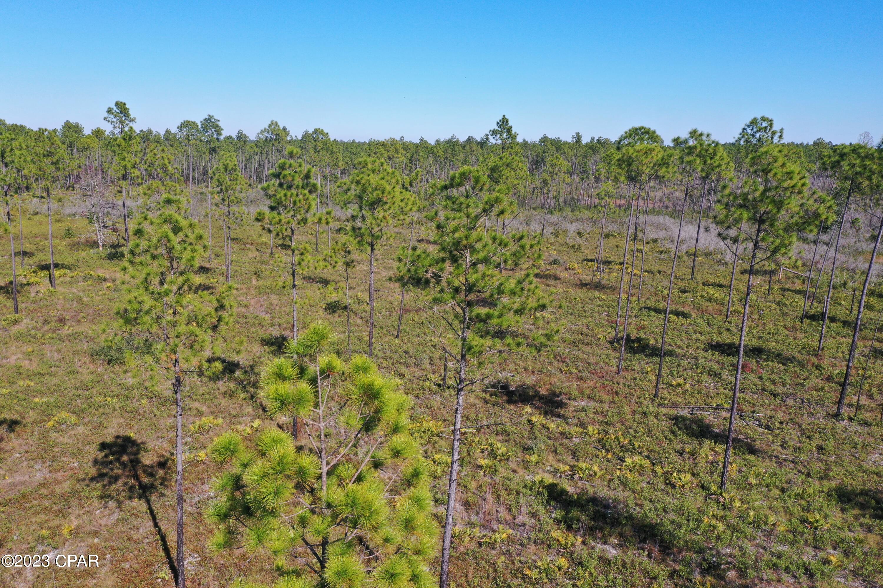 Gp5mco0 Tgxi0wrt0s_zx1ae72natgwoqe_qtfmjxmq