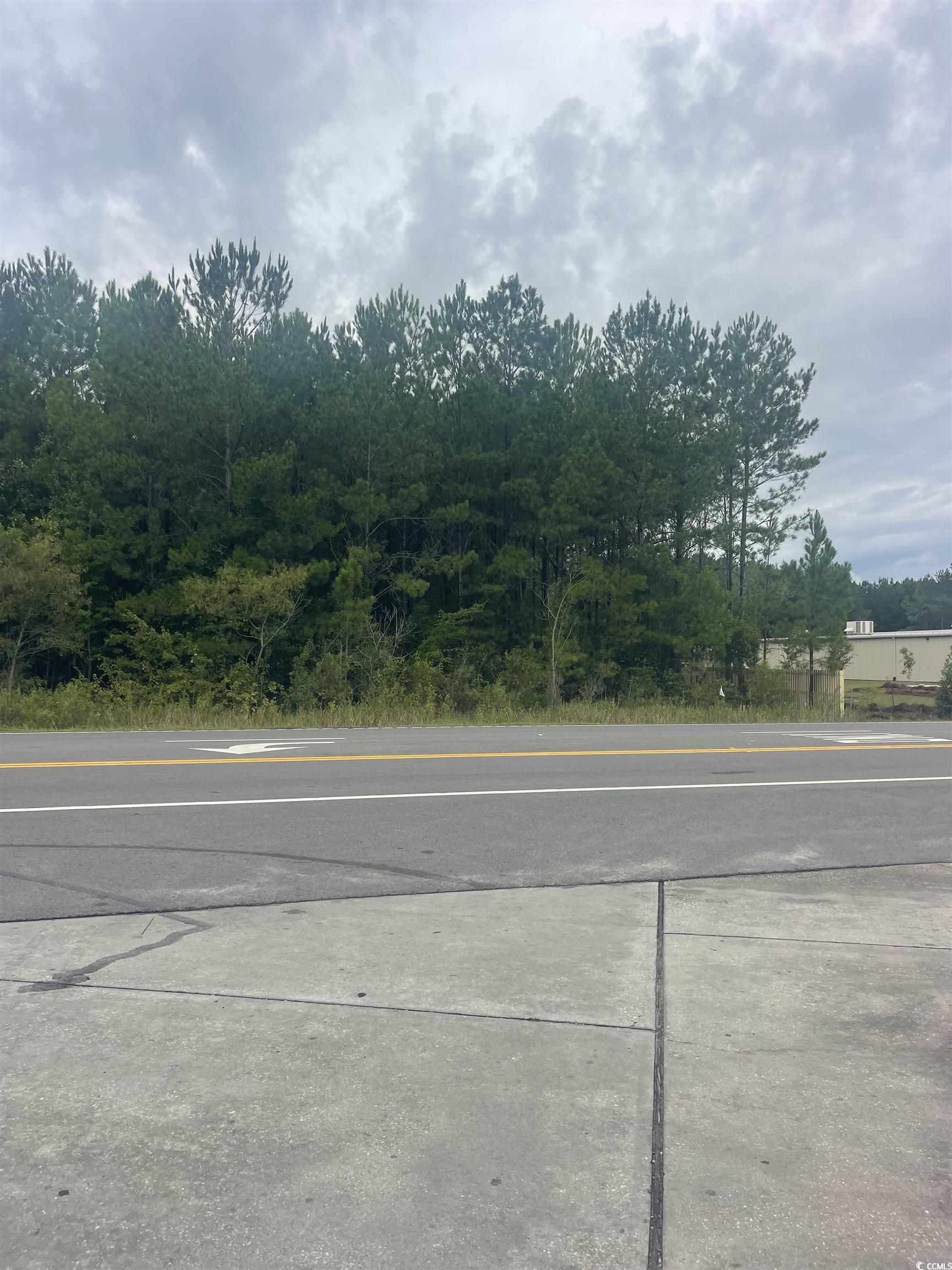 TBD Lot 1 Red Bluff Rd. Loris, SC 29569