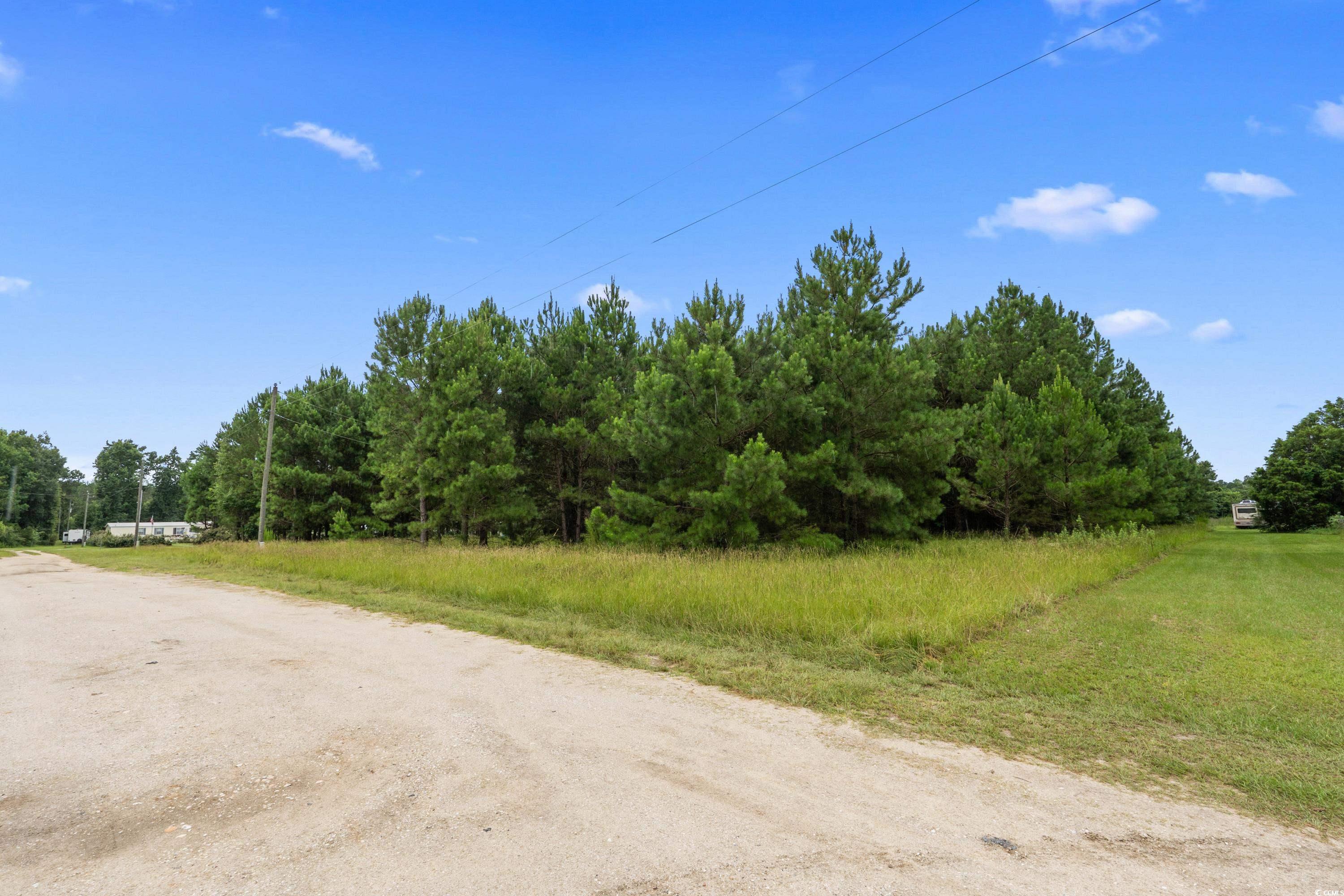 TBD Shell Pond Rd. Loris, SC 29569