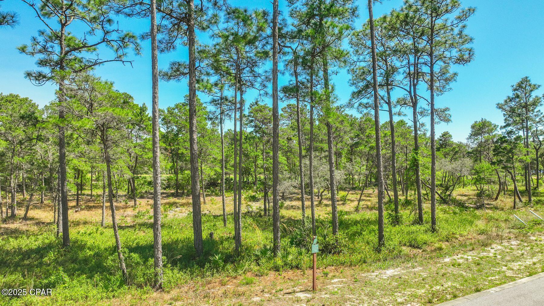 Image 19 For 1506 Dune Lake Trail
