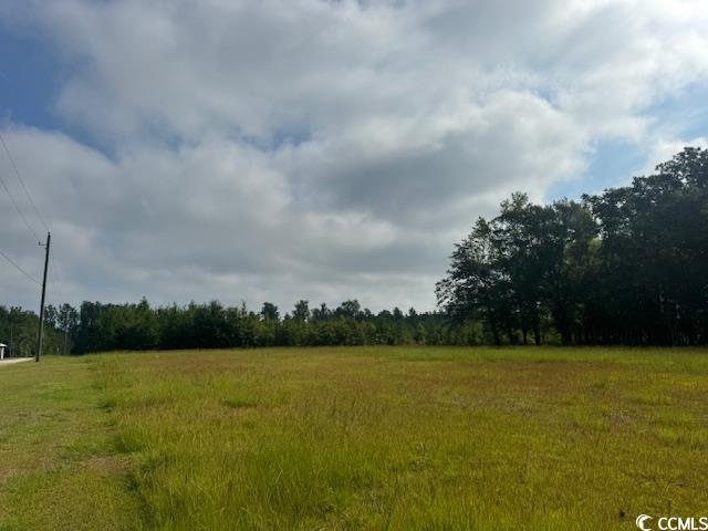 TBD Justice Loop Loris, SC 29569