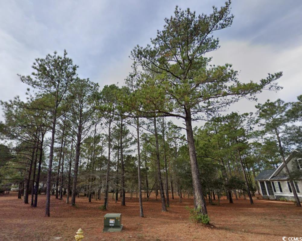 6455 Kirkwall Point Ocean Isle Beach, NC 28469