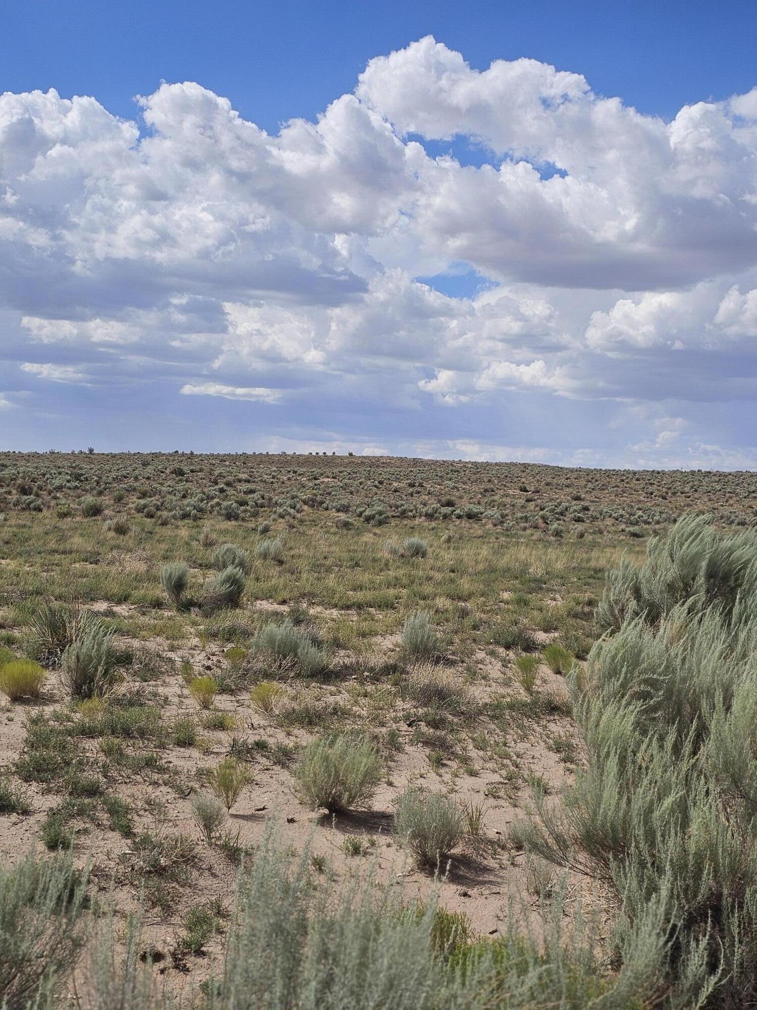 2015 Pennard NE, Rio Rancho