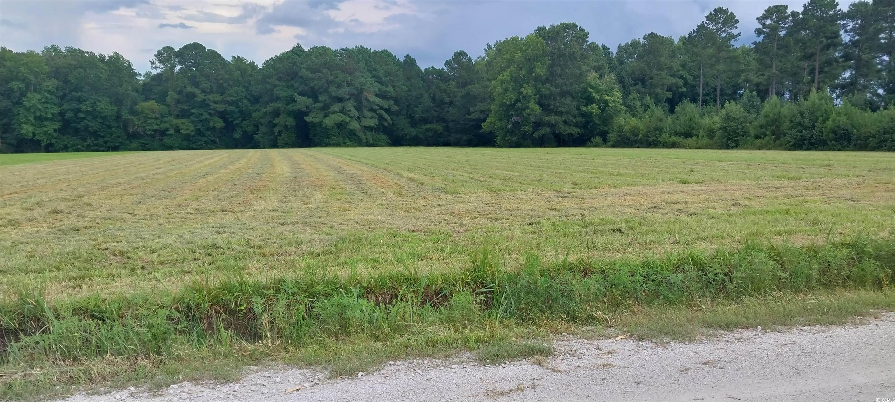 Lot 1 Wigley Rd. Loris, SC 29569