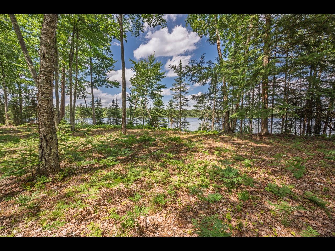 Clearwater Lake Property Lot 163 Clearwater Lake Tr Photo 10