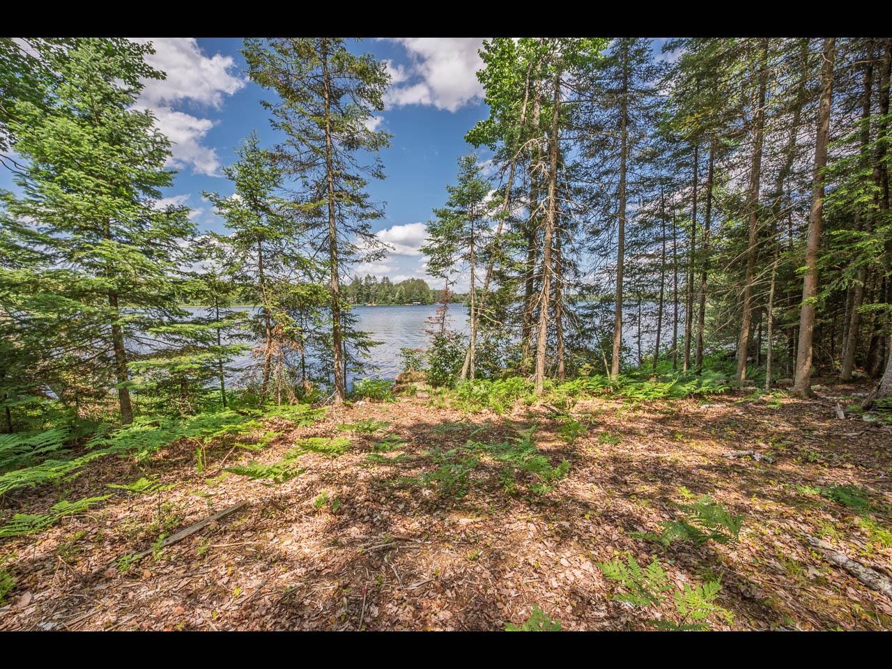 Clearwater Lake Property Lot 163 Clearwater Lake Tr Photo 5