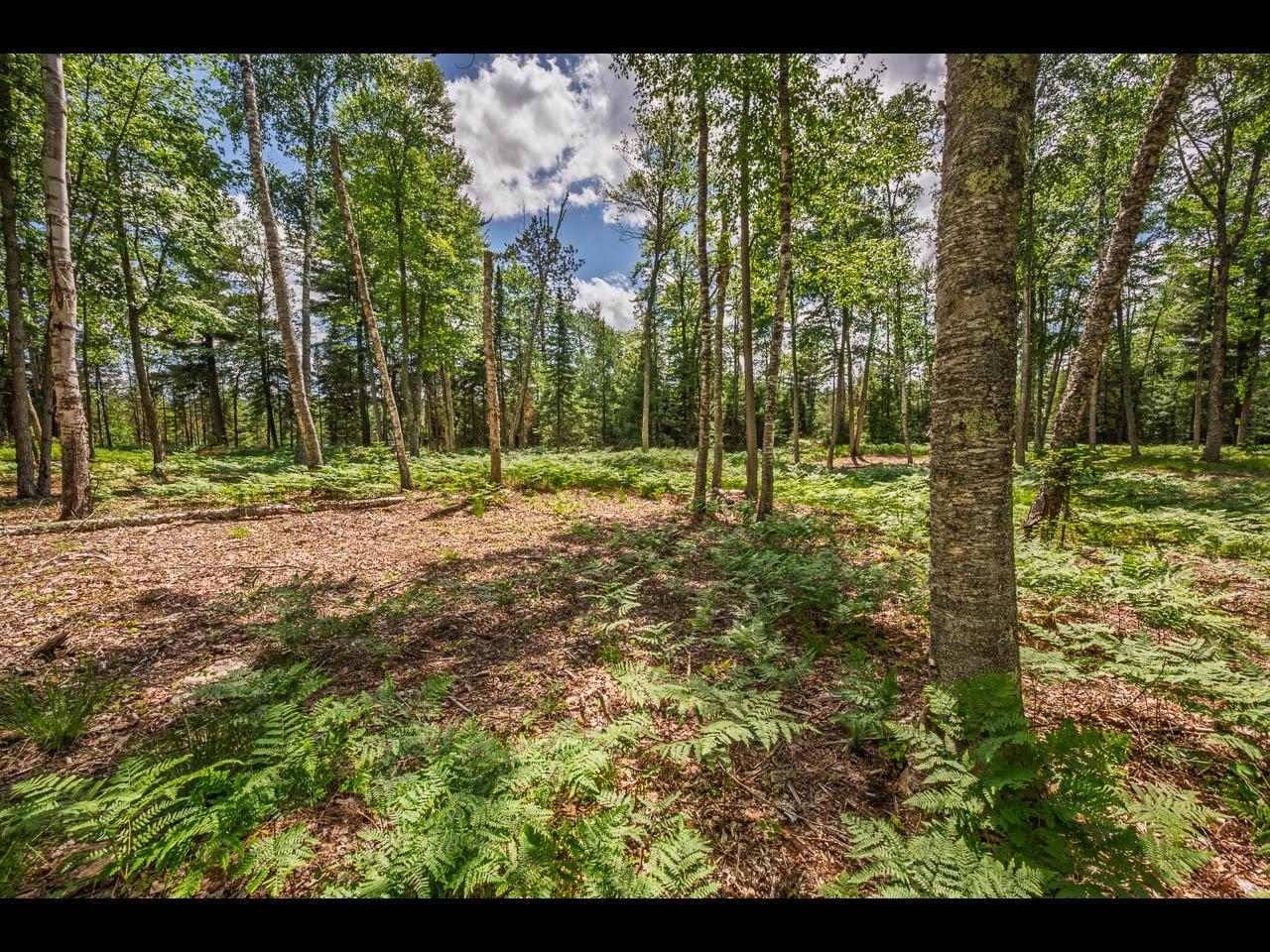 Clearwater Lake Property Lot 163 Clearwater Lake Tr Photo 6