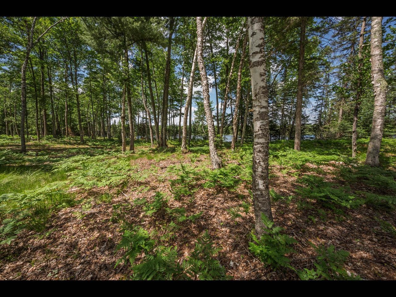 Clearwater Lake Property Lot 163 Clearwater Lake Tr Photo 8