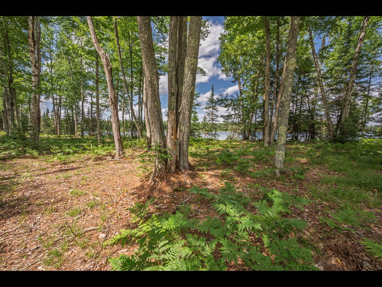 Clearwater Lake Property Lot 163 Clearwater Lake Tr Photo 9