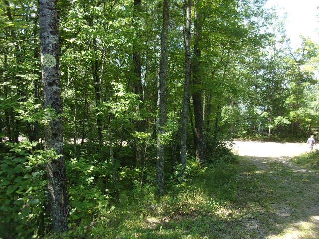 Range Line Lake C Property 1437 Range Line Lake Ln Photo 53