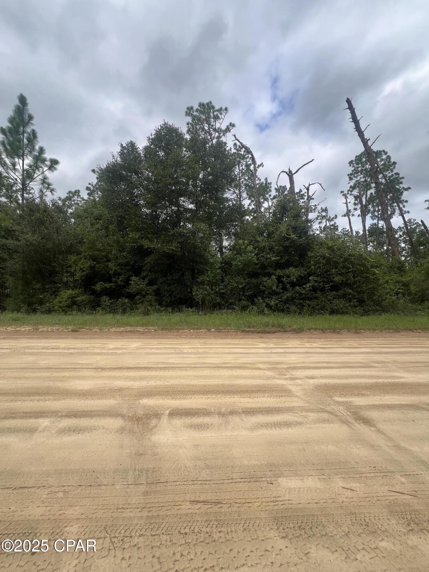 Image 4 For 0 Brandon Road