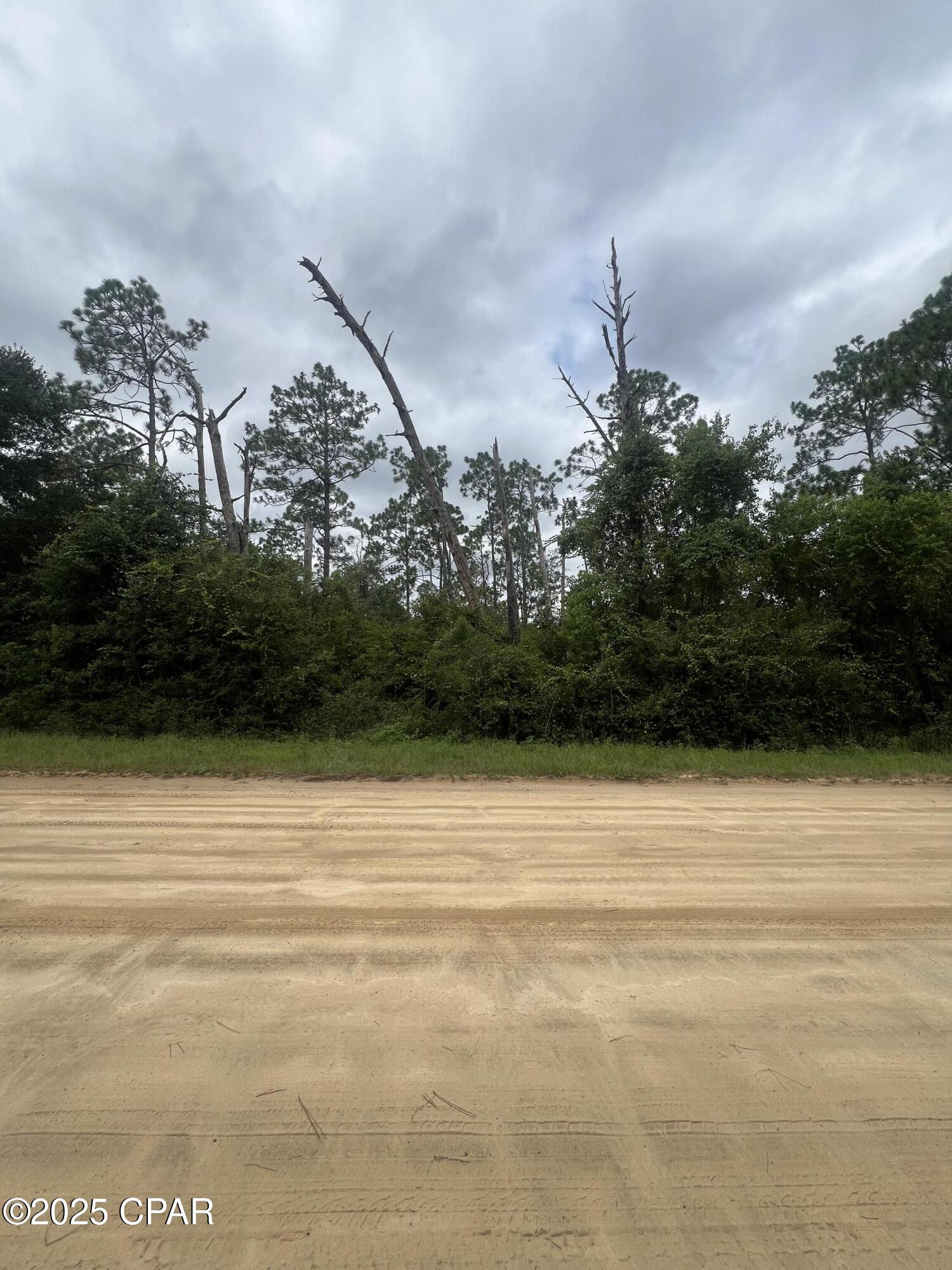 Image 8 For 0 Brandon Road
