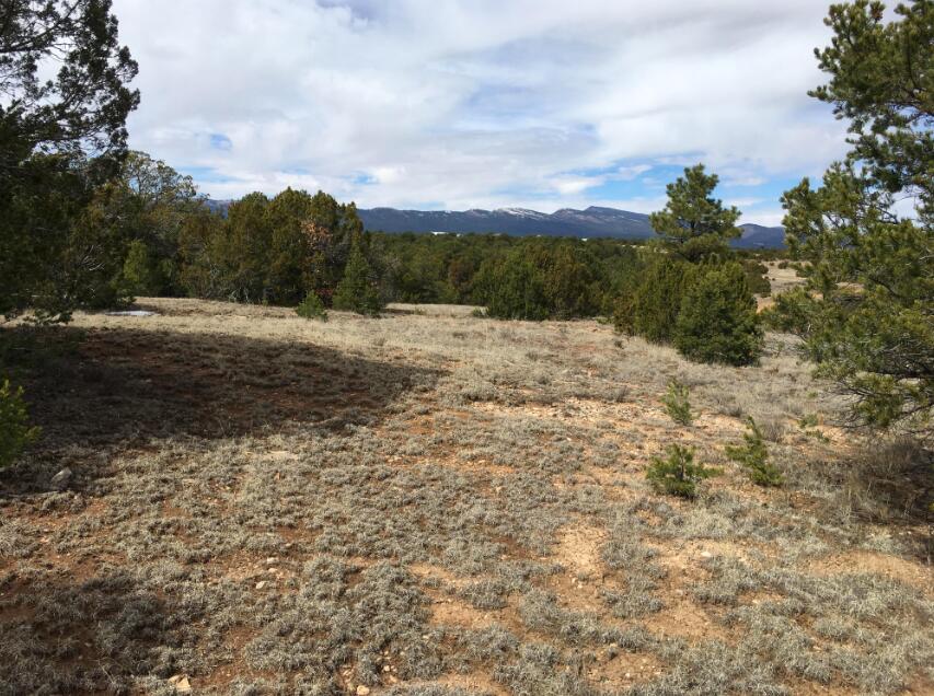 15 MANZANO Loop Tijeras, NM 87059