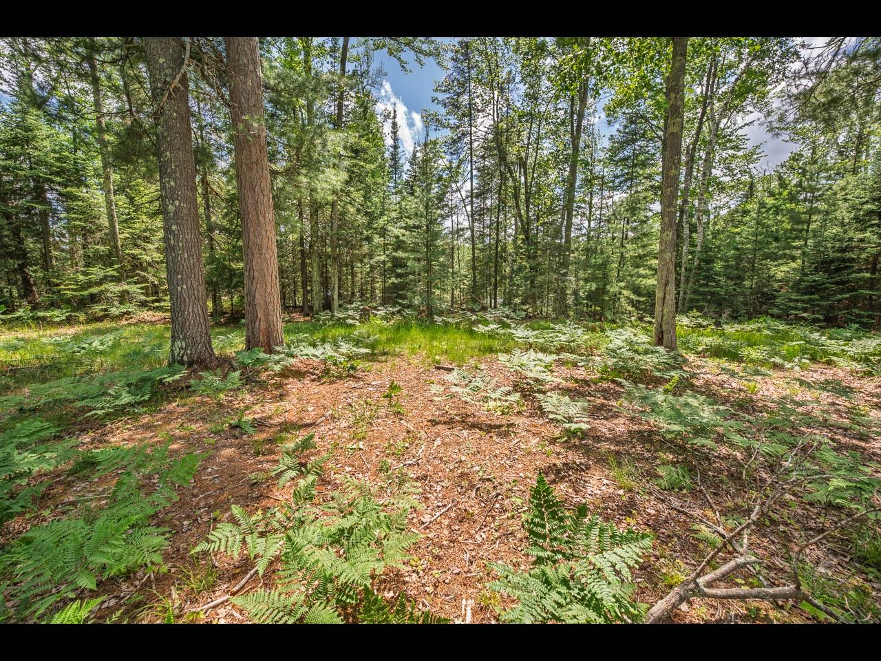 Clearwater Lake Property Lot 164 Clearwater Lake Tr Photo 3