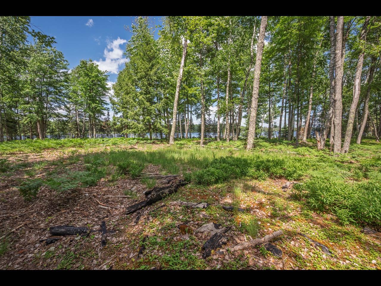 Clearwater Lake Property Lot 164 Clearwater Lake Tr Photo 4