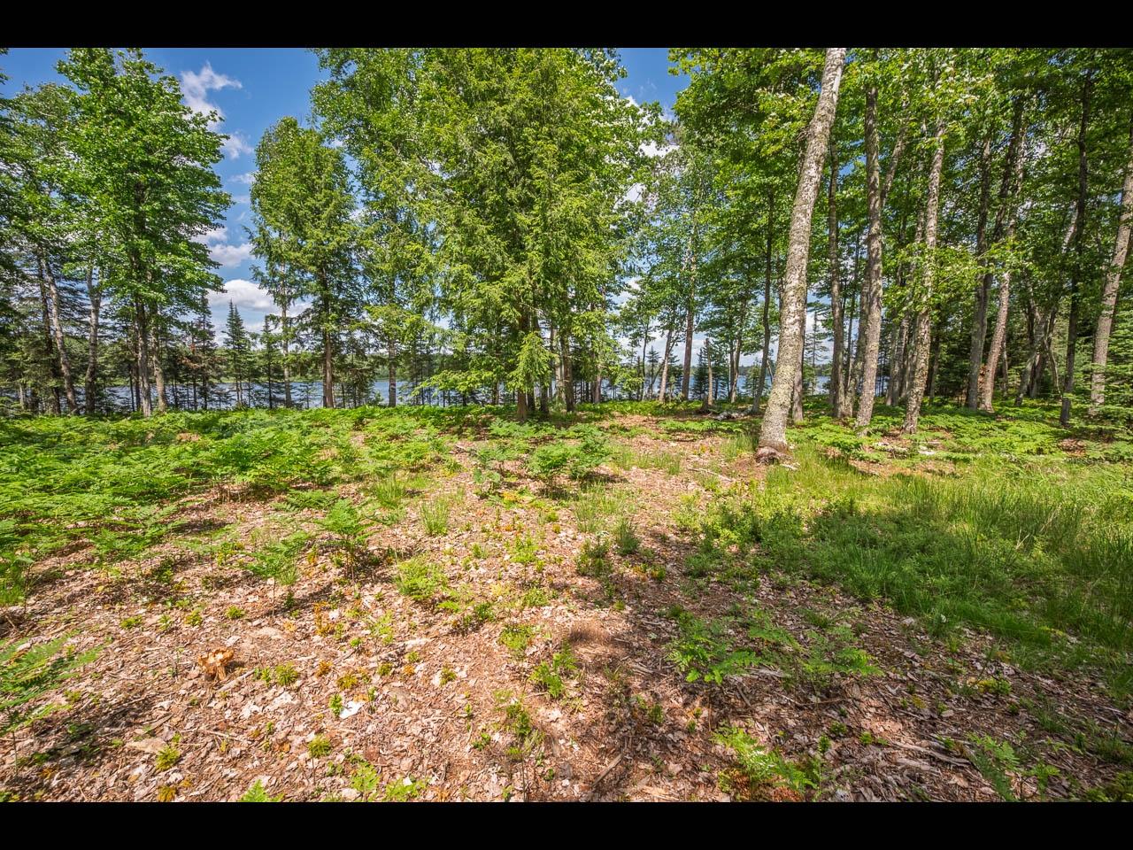 Clearwater Lake Property Lot 164 Clearwater Lake Tr Photo 5