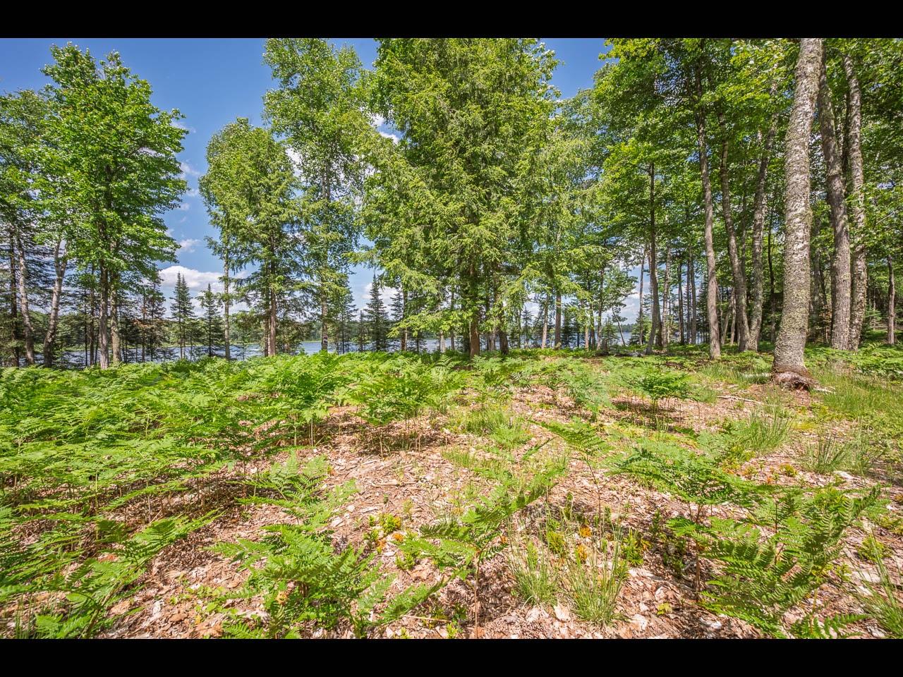Clearwater Lake Property Lot 164 Clearwater Lake Tr Photo 6
