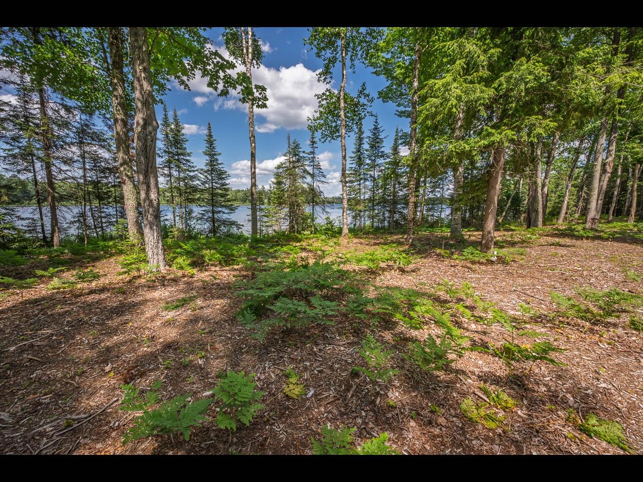 Clearwater Lake Property Lot 164 Clearwater Lake Tr Photo 8