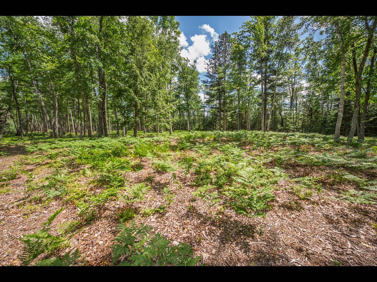 Clearwater Lake Property Lot 164 Clearwater Lake Tr Photo 9