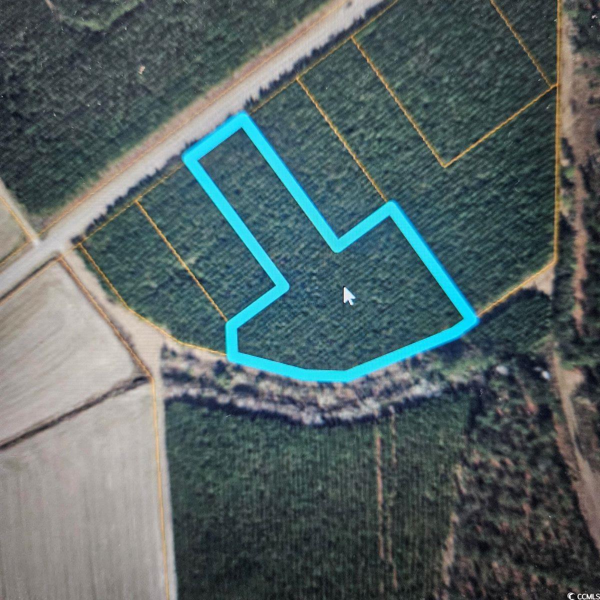 TBD Highway 45 Loris, SC 29569