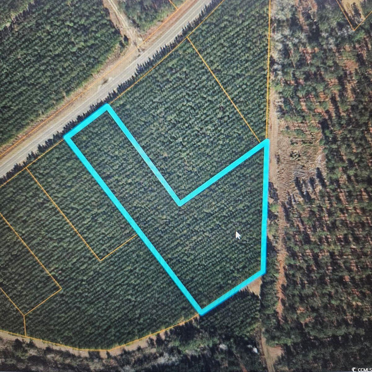 TBD Highway 45 Loris, SC 29569