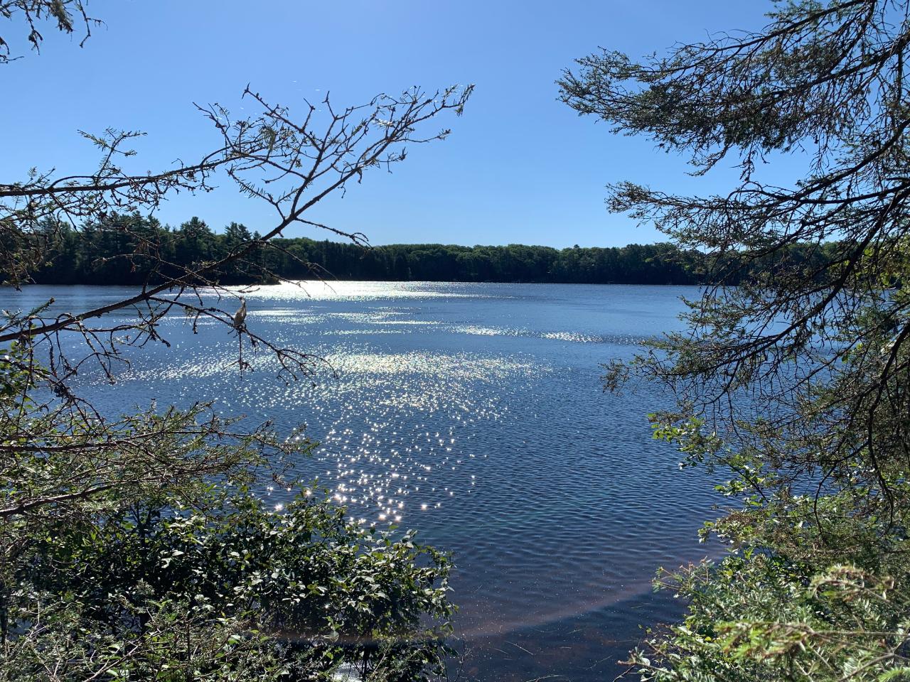 Landing Lake Property Off Knuth Ln Photo 1