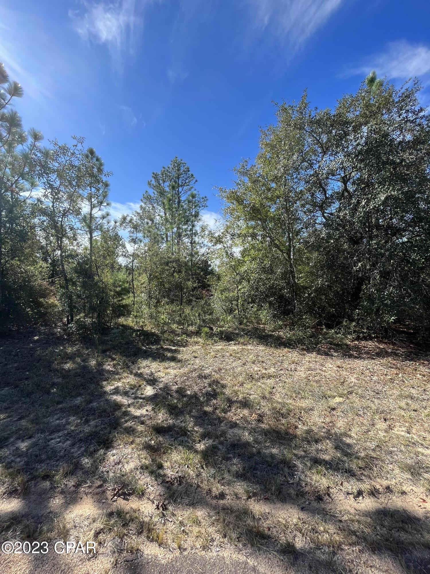 Image 2 For Lot 8 Regent