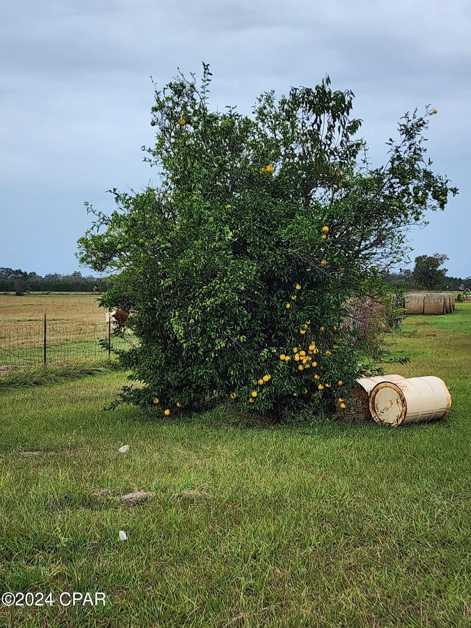 Yoy8sjaxojpx0gkd 9mrjvaxmr_myzmtlze7kqqosfm