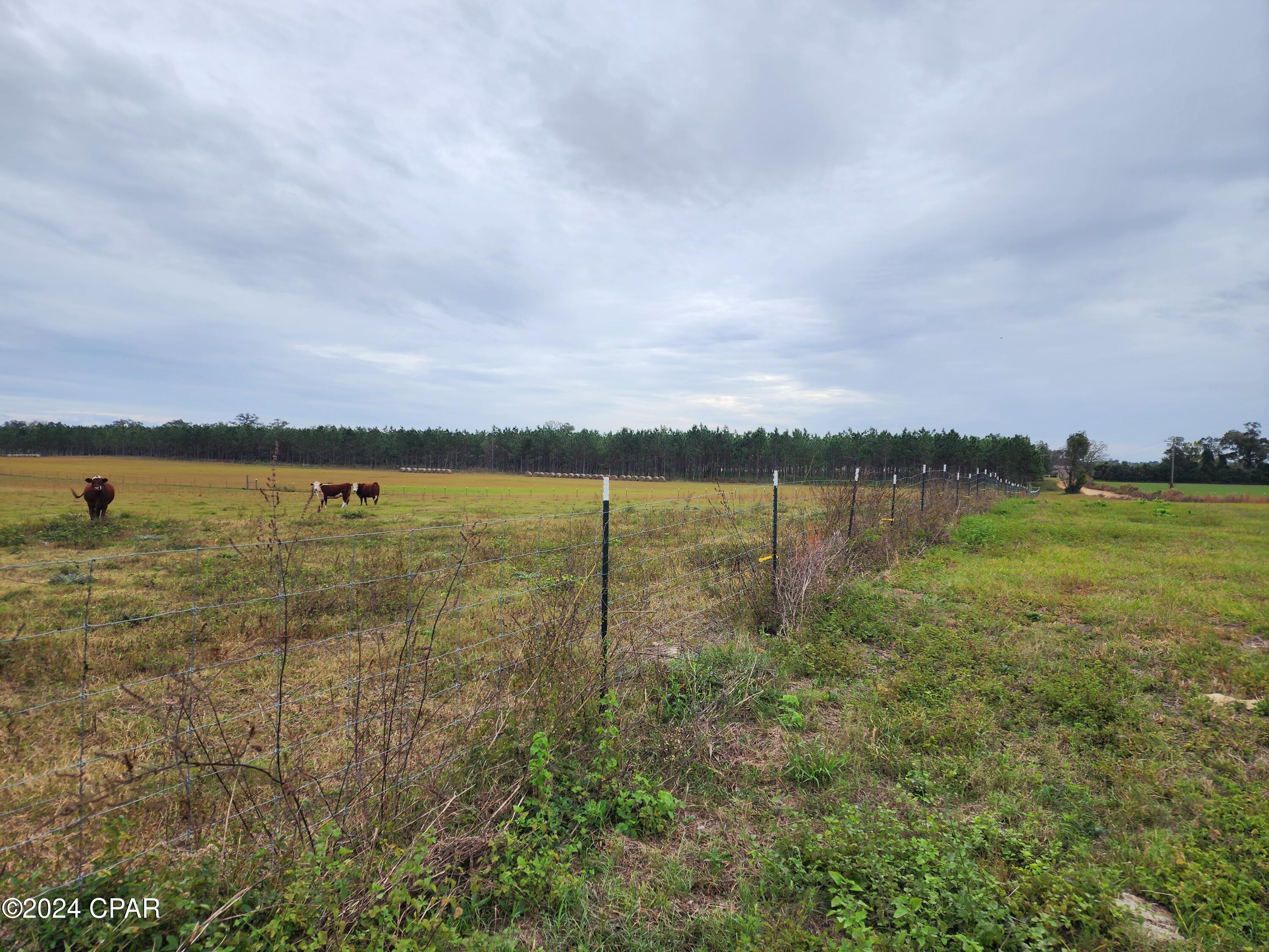 Zaop1vpmb9tqp_xnw7qi_kzhq9mkrtwwtev5wgmp We