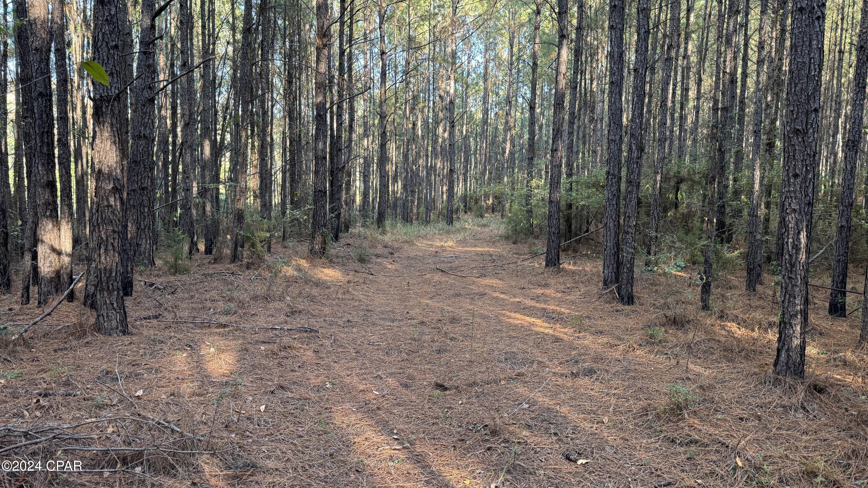 Wp 8zxfe_boaa4g_ixnekpva8scg1ygmdyxd_vtby_i