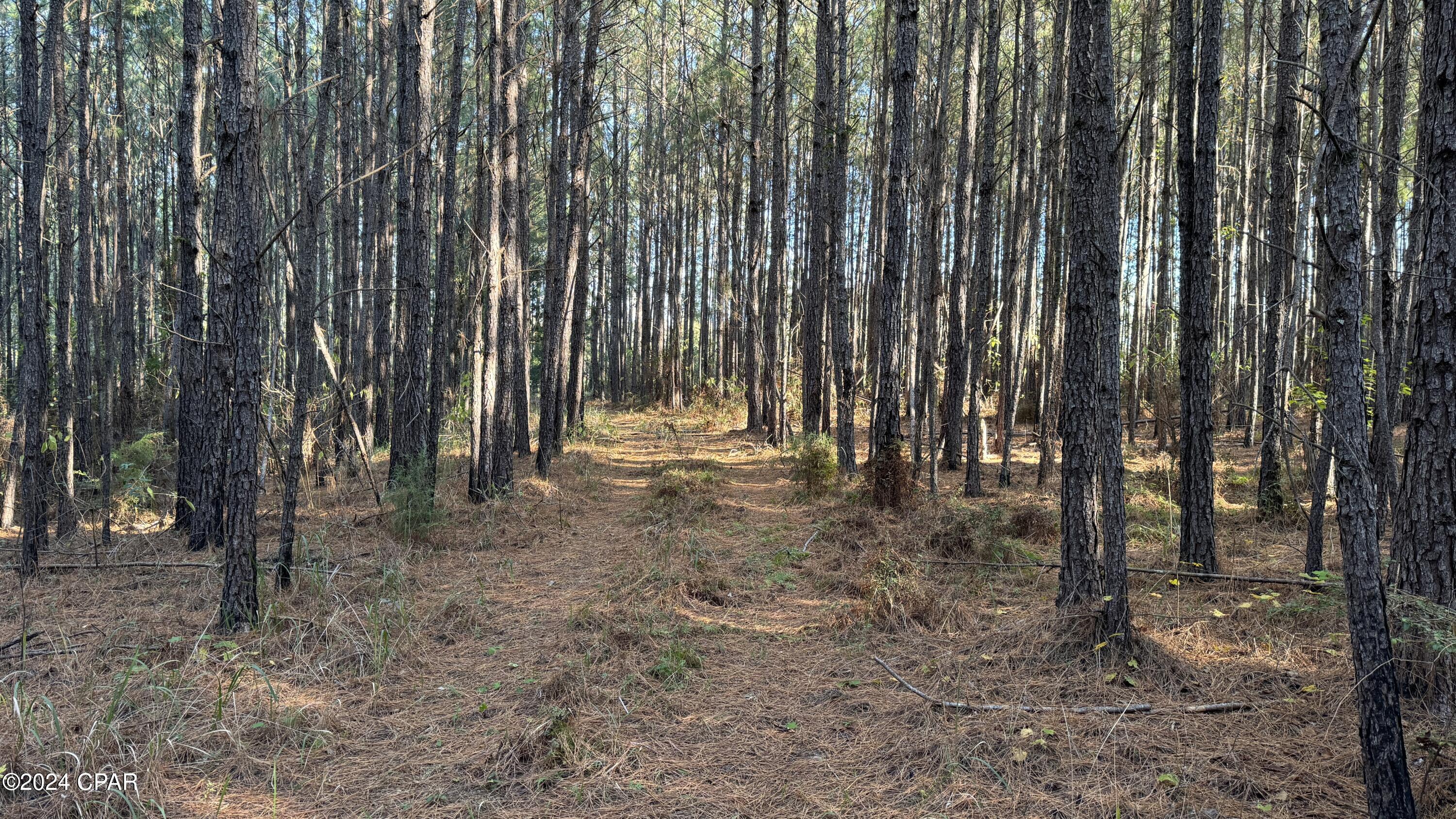 Dhb9j_vdyb6_lmlfwd6r3eurwjep5lrvg_2jgj9ahaw