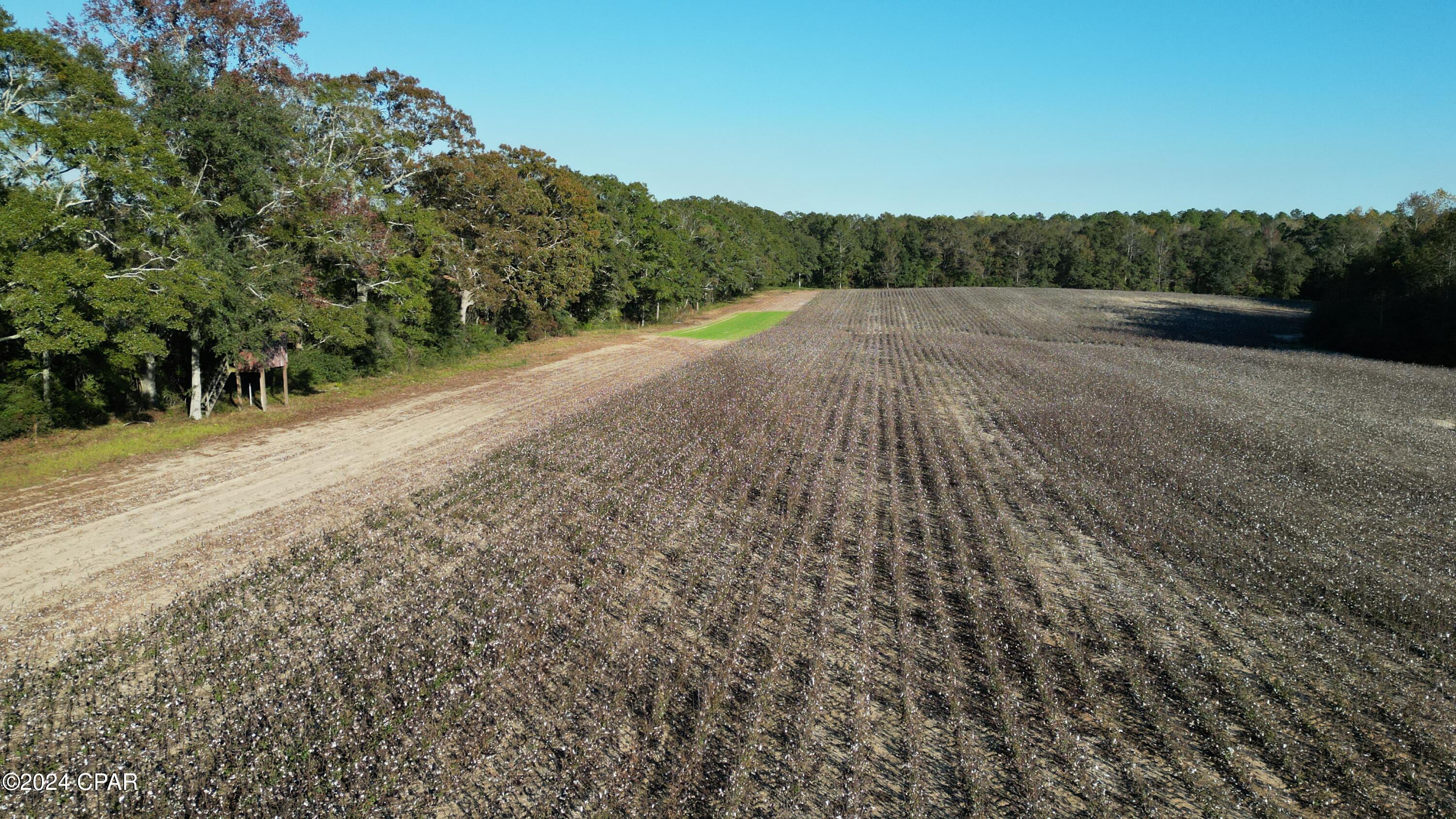 Iwyeaofqwannksuwireq6djl7vt_y Tkd8mzscbu06m