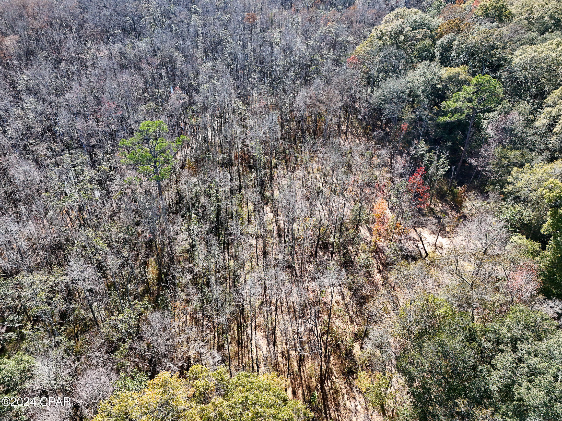 2zunhc7f6tzlkhgew8rofwtnmwtf6m Wutbqqasd91g