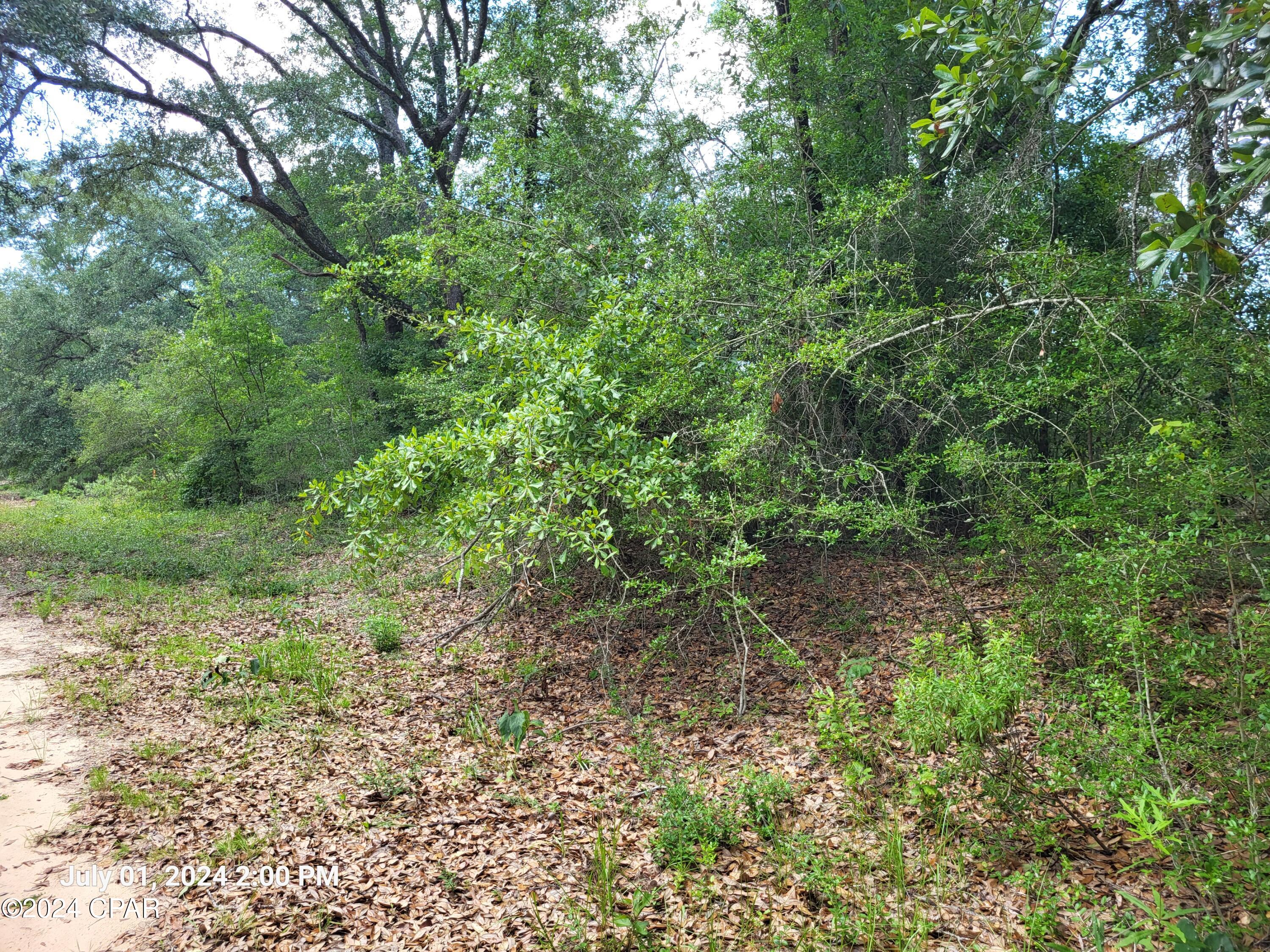 Pkqo4pt7gifwa5ffmz2_4v M5b0qvyl9tuutuudmp4k