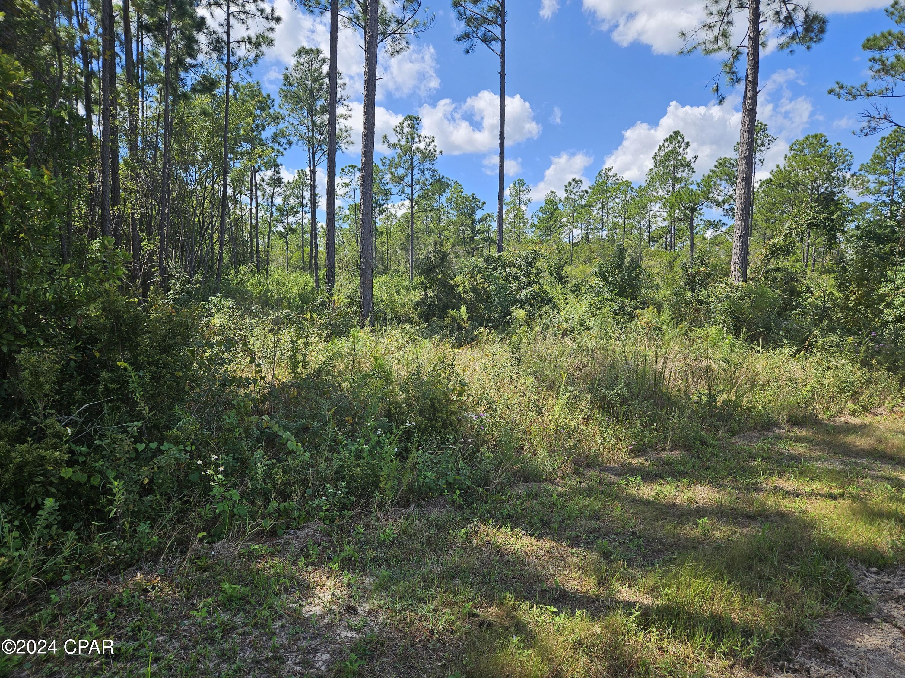 Ggvhcy V Ocuq0unv82trpe8ycpdh3bdp021cdcjm 4