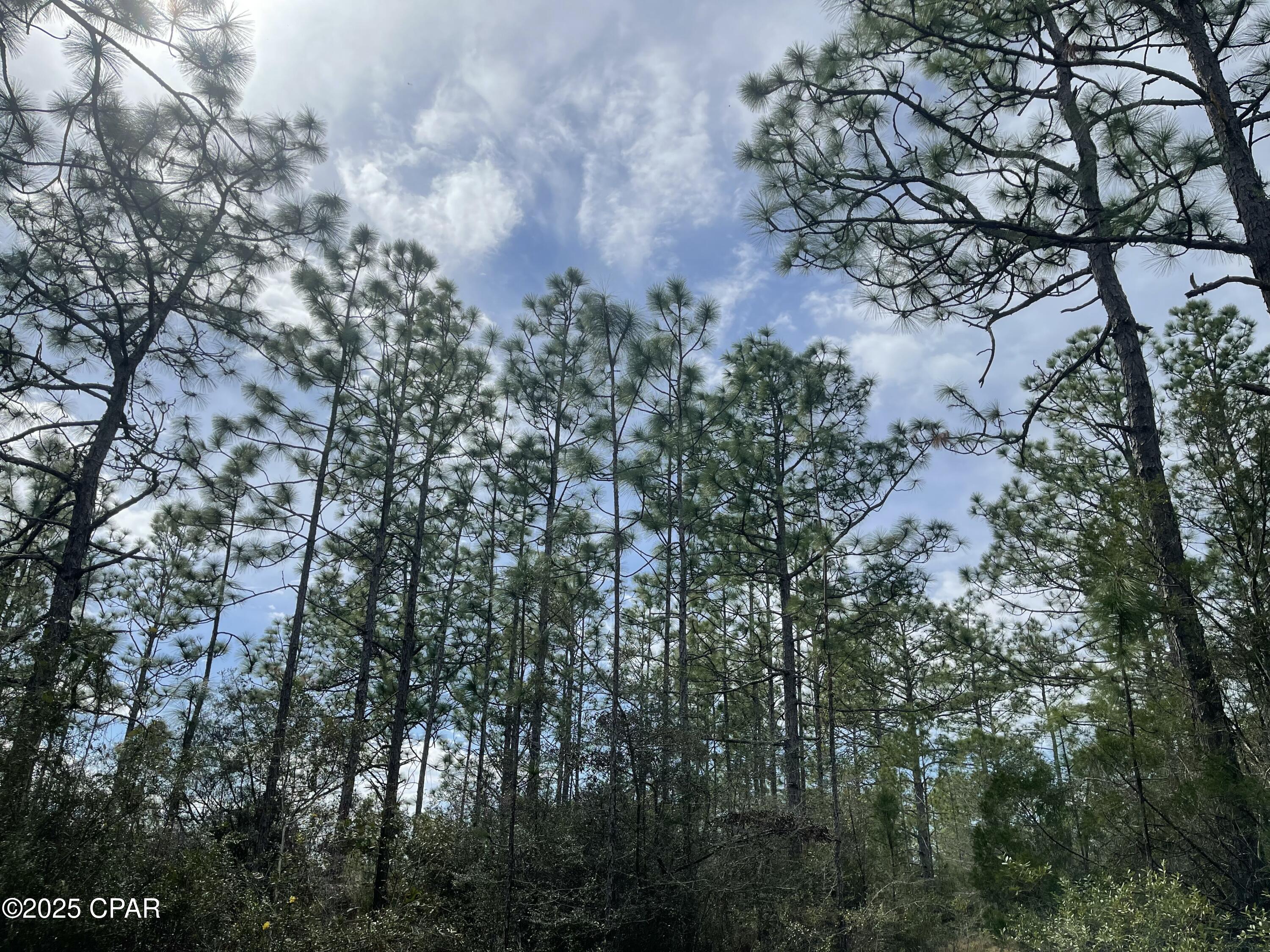 Rwofiu W63b1gimrrw Mda7awoq_hmq55qyignq3tqq