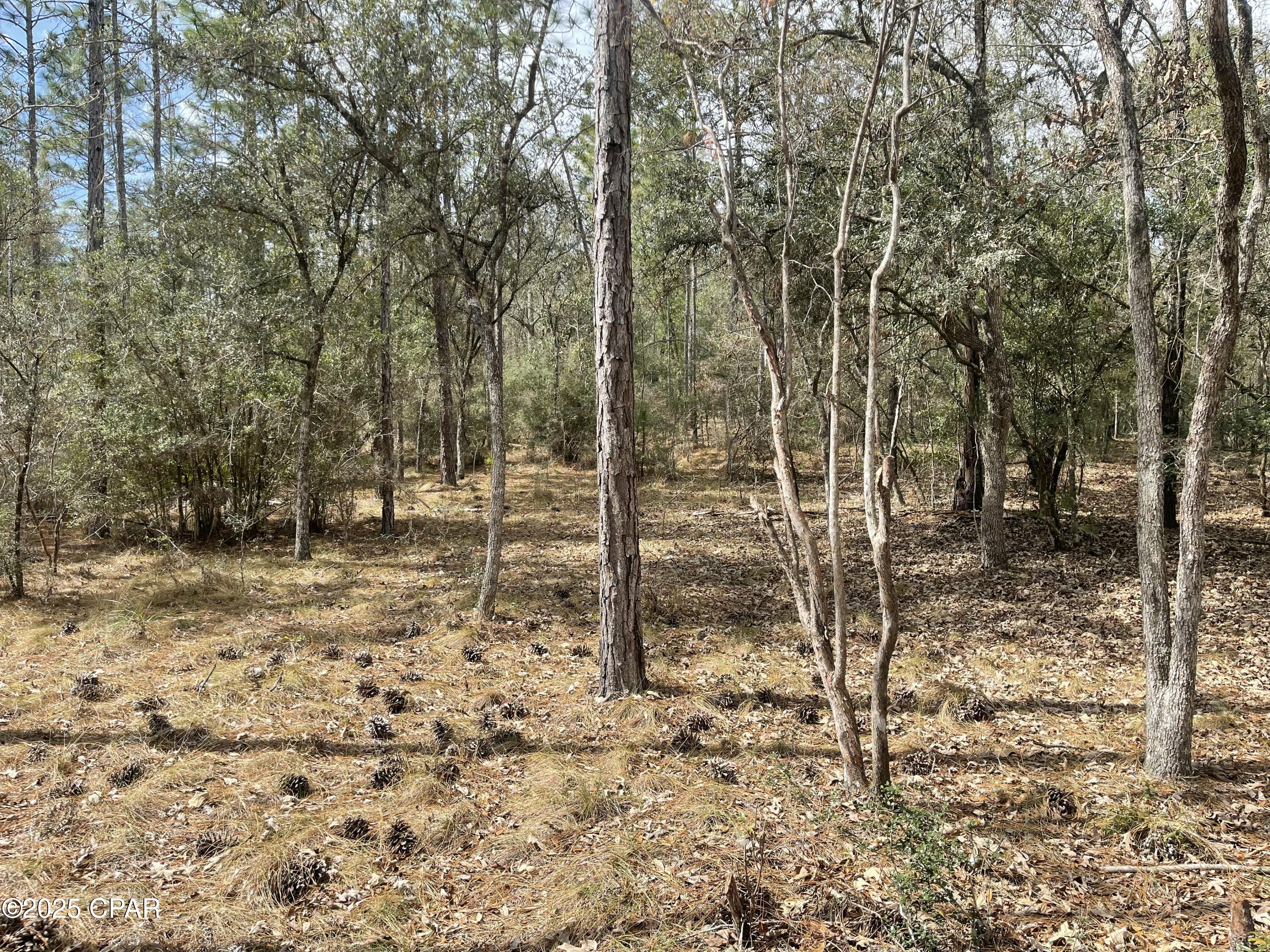 Image 11 For 3340 Varsey Lane