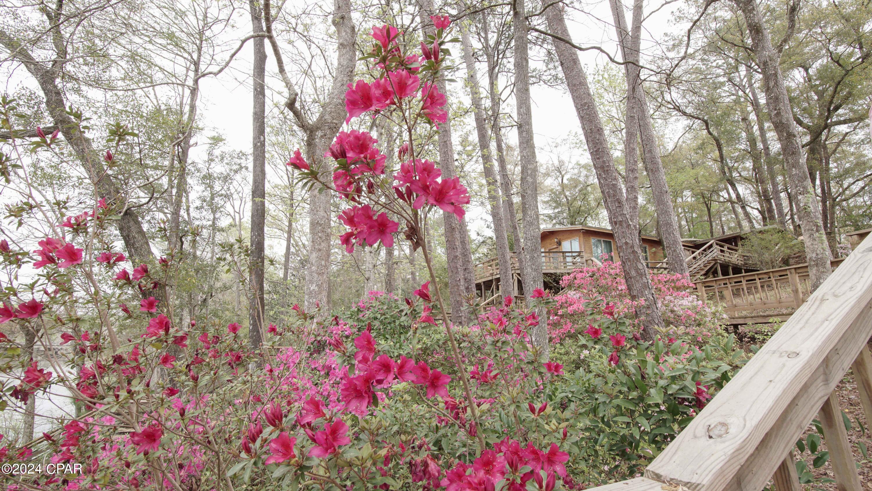 Enld8cf8yqdjsubkg2 Ddyq Jecf Xfk2ix_pir00za