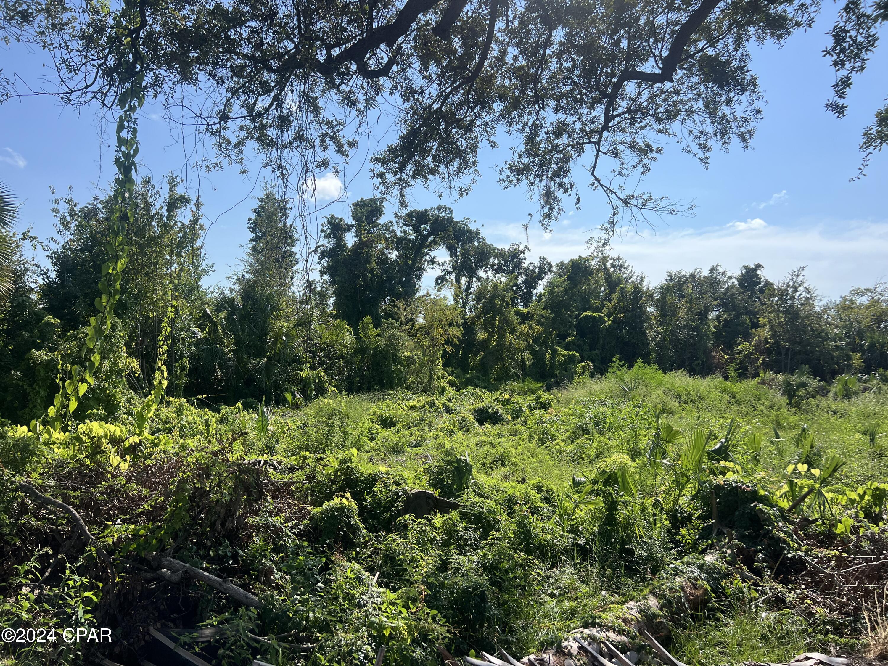 M1p6l_fhnxrrshlhidcccndyrwgovx5aaco8c3qjit4