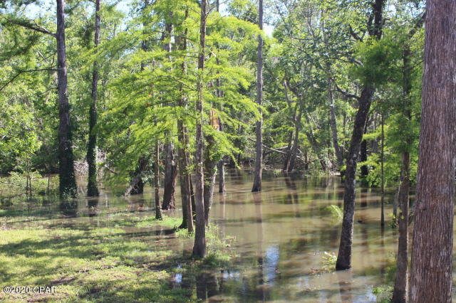 Bg1auyy5einqm7rerpevt2_un83eer5bkp29ydhth_0